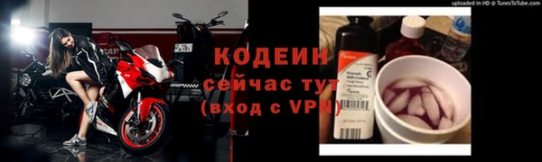 шишки Баксан