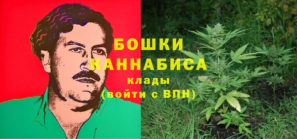 СК Балахна