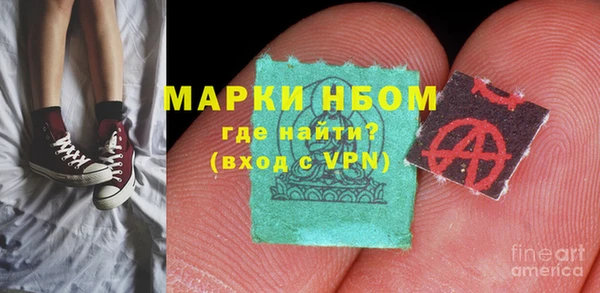 шишки Баксан