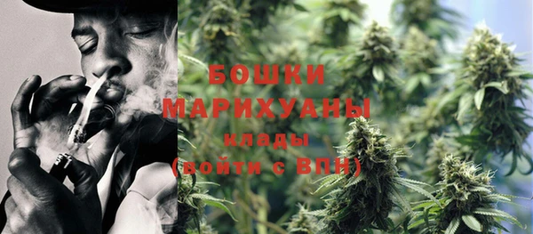 шишки Баксан