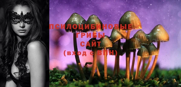 СК Балахна