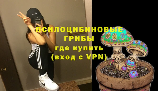 шишки Баксан