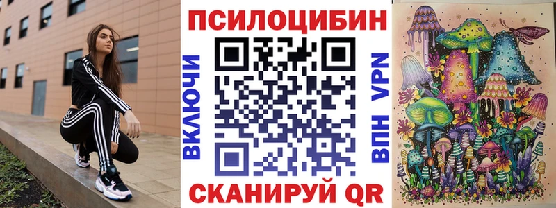 Галлюциногенные грибы Psilocybe Белогорск