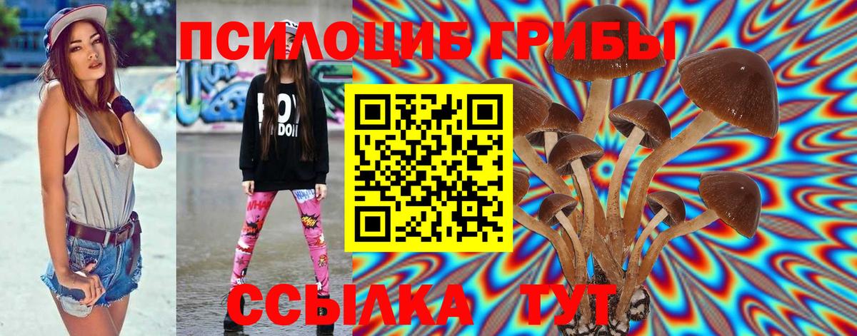 Галлюциногенные грибы прущие грибы Белогорск