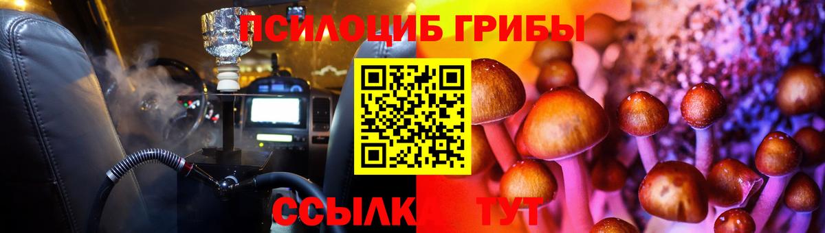 Псилоцибиновые грибы Cubensis Белогорск